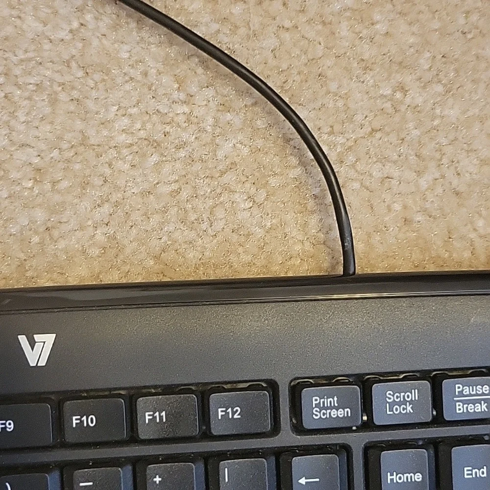 Free with any other purchase! V7 Standard PS/2 Keyboard